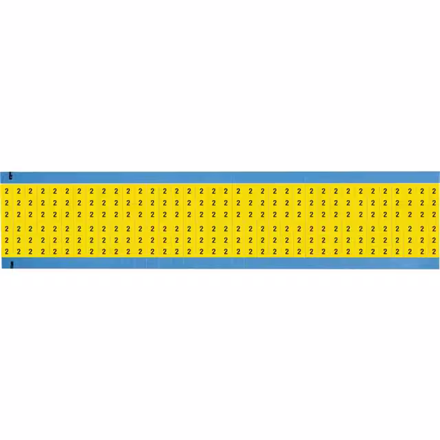WM-2-YL-SC-PK