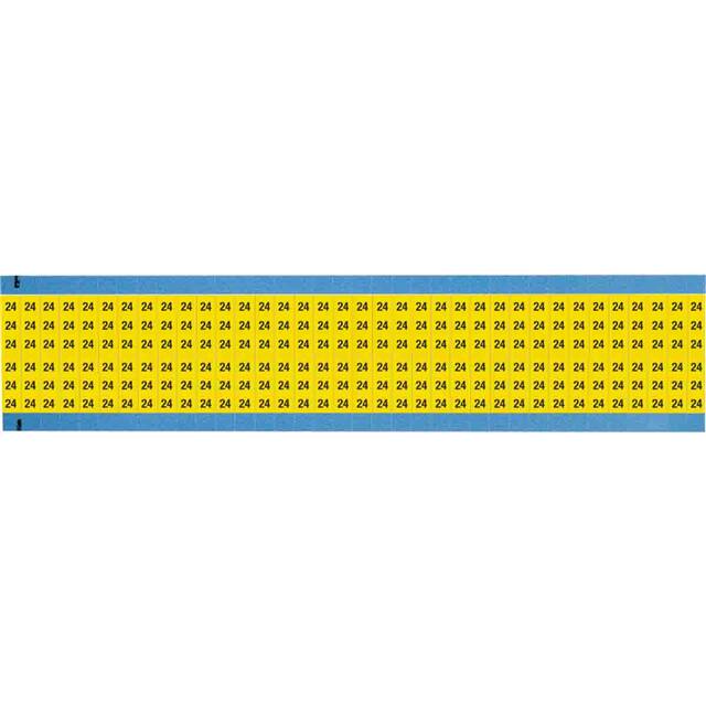 WM-24-YL-SC-PK